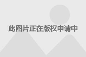 tp钱包骗局流程_钱包骗局是怎么回事_钱包传销骗局