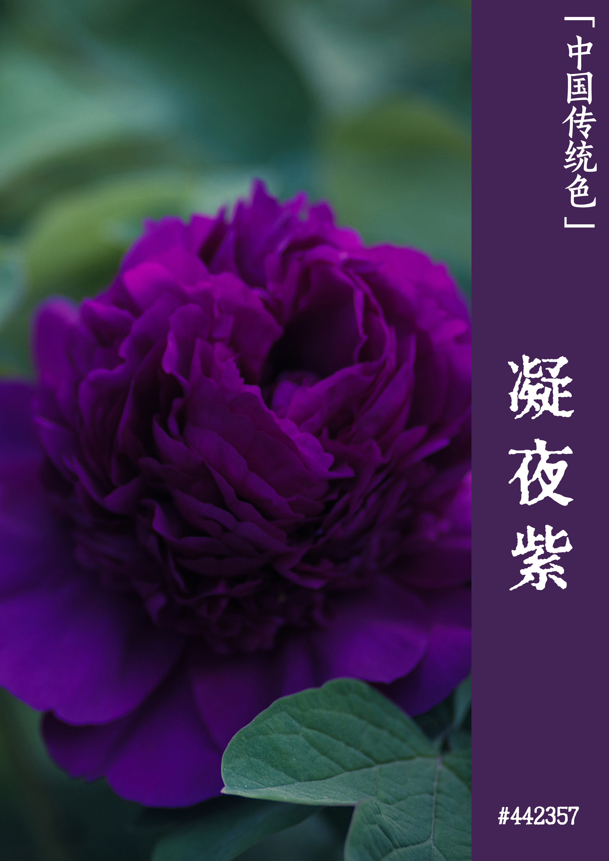 观察钱包怎么转换普通钱包_观察钱包怎么看_tp钱包怎么弄成观察钱包