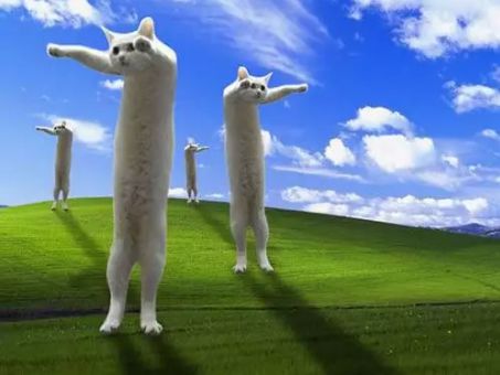 冒险词语搭配_用词语组合冒险游戏_冒险词组