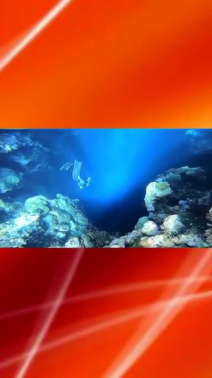 一个在海底的游戏叫什么_海底游戏解说_海底底底