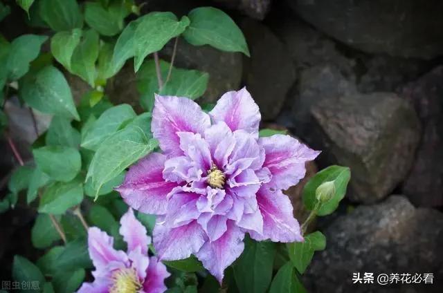 tp钱包怎么转账到交易所_tp钱包转账没到账_钱包转出t+1