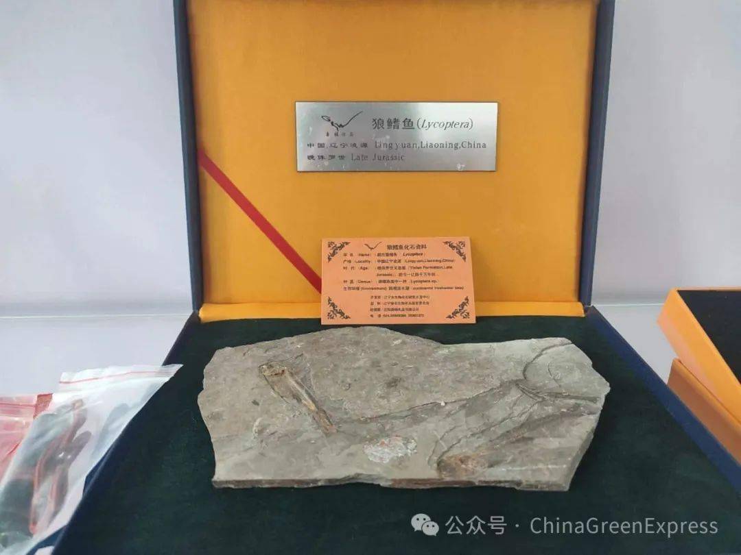 钱包公司是什么性质的公司_tp钱包是哪个公司的_钱包公司是违法吗