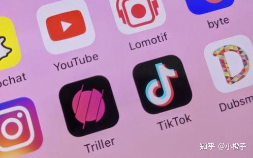 狗狗币钱包转账_TP钱包狗狗币怎么转到欧意_狗狗币转出到imtoken