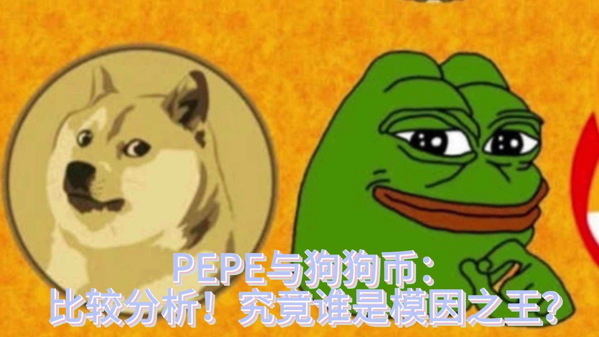 狗狗币钱包dogecoin_tp钱包不支持狗狗币_tp钱包买狗狗币