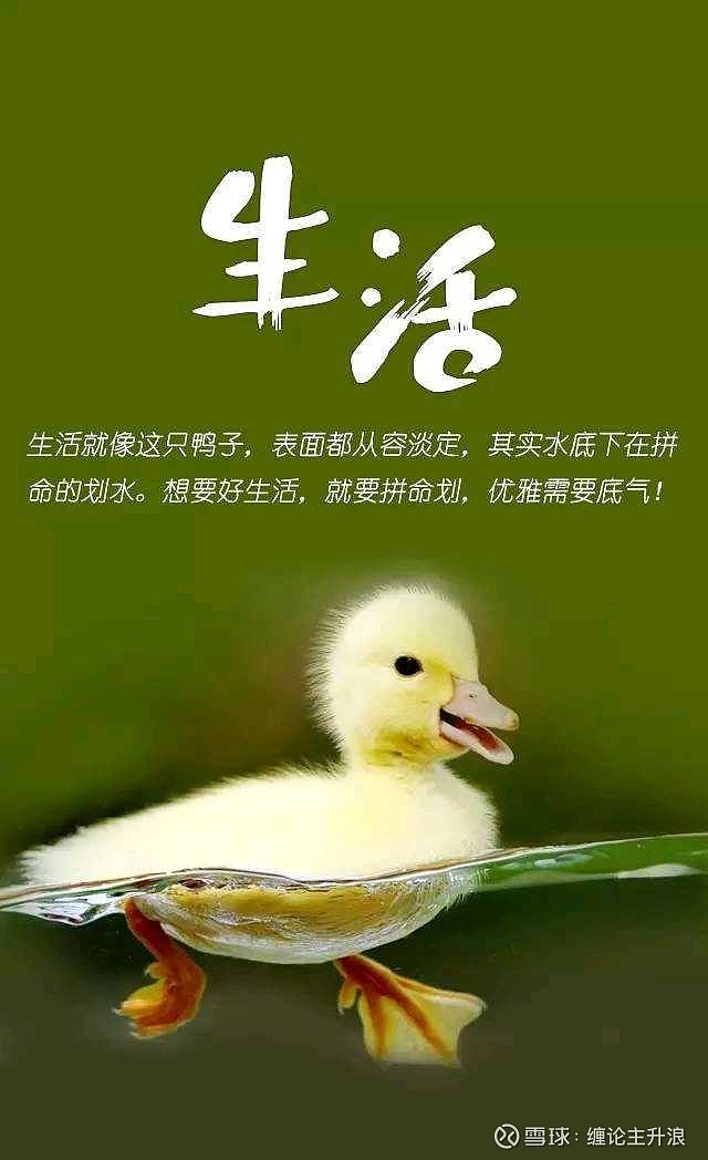 telegram打开视频慢_excel表格打开特别慢_ie8打开word慢