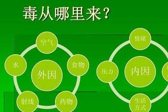 释放脾气是本能_想要释放脾气数据_释放脾气的方法