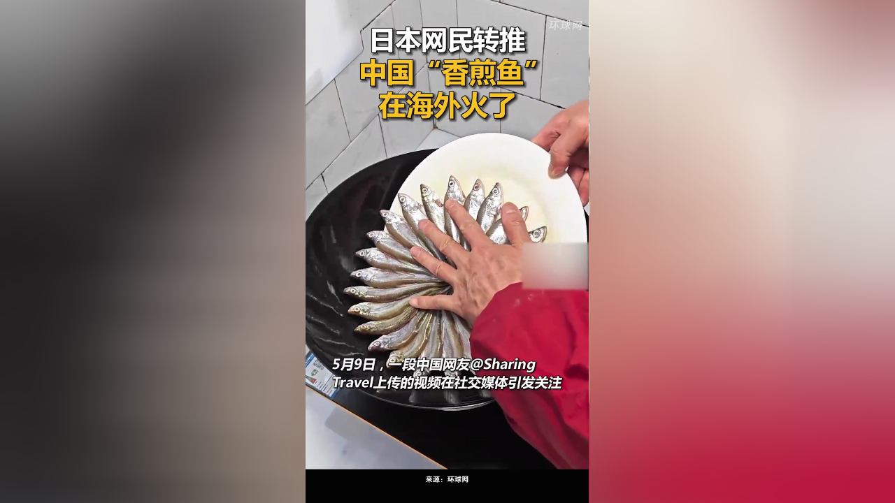 中国能用telegram_telegram在中国可以用吗_telegram中国可以用吗
