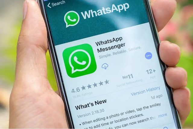 whatsapp中文官网下载_whatsapp官方中文正版_whatsapp中文版