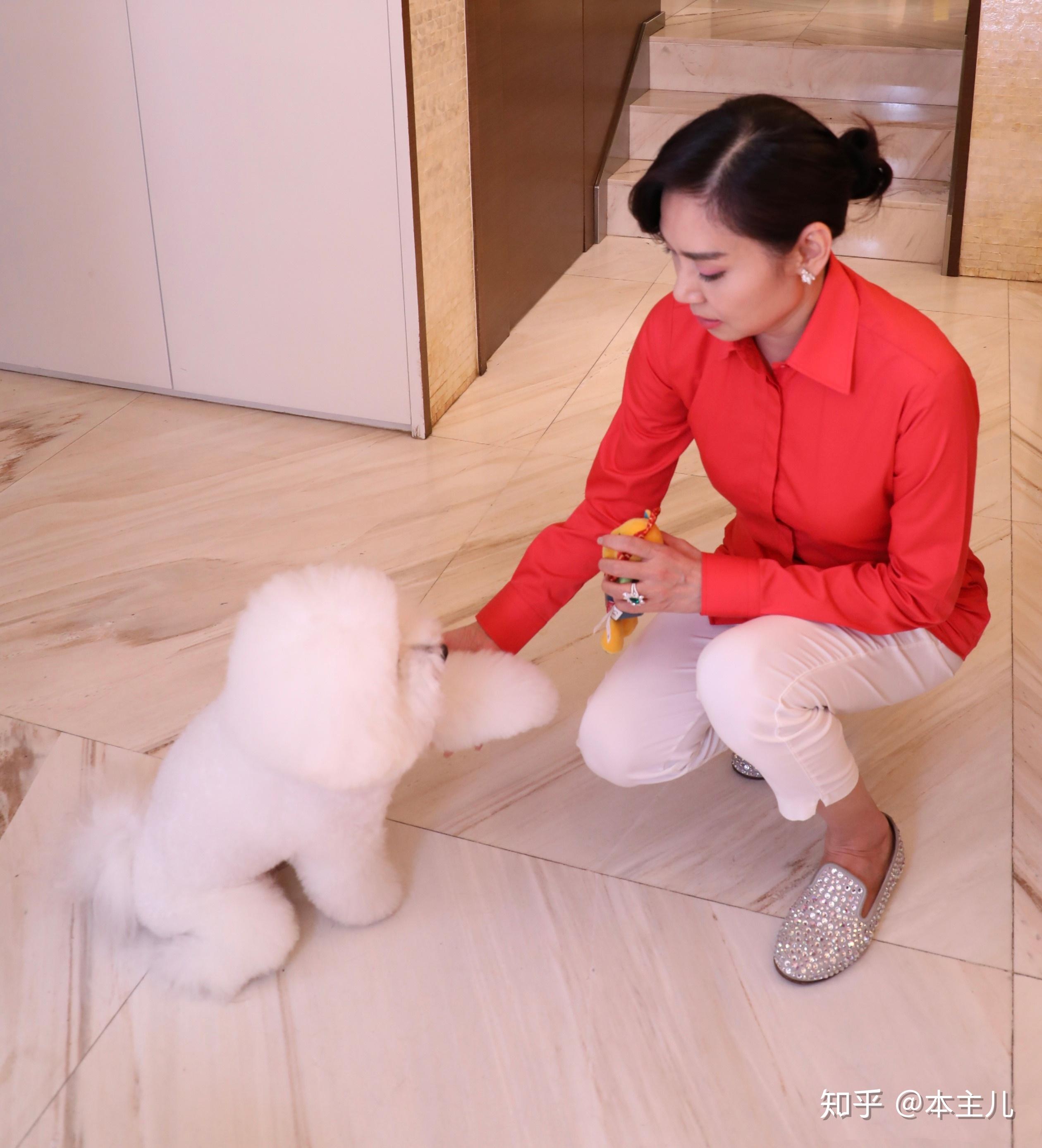 无法访问游戏_正常通话受访问限制是怎么回事_云即玩无法正常访问