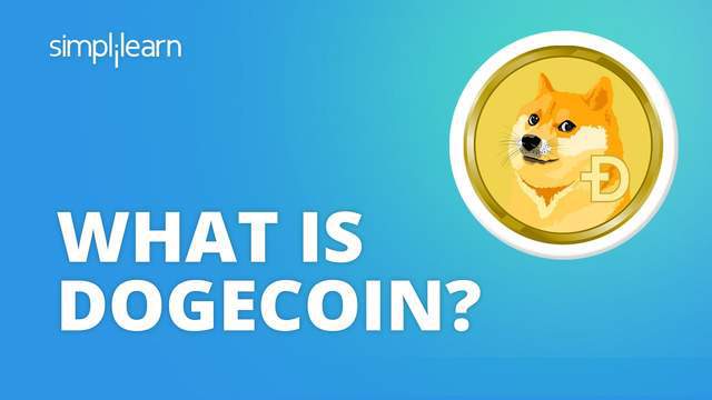 钱包怎么折_tp钱包 doge_doge
