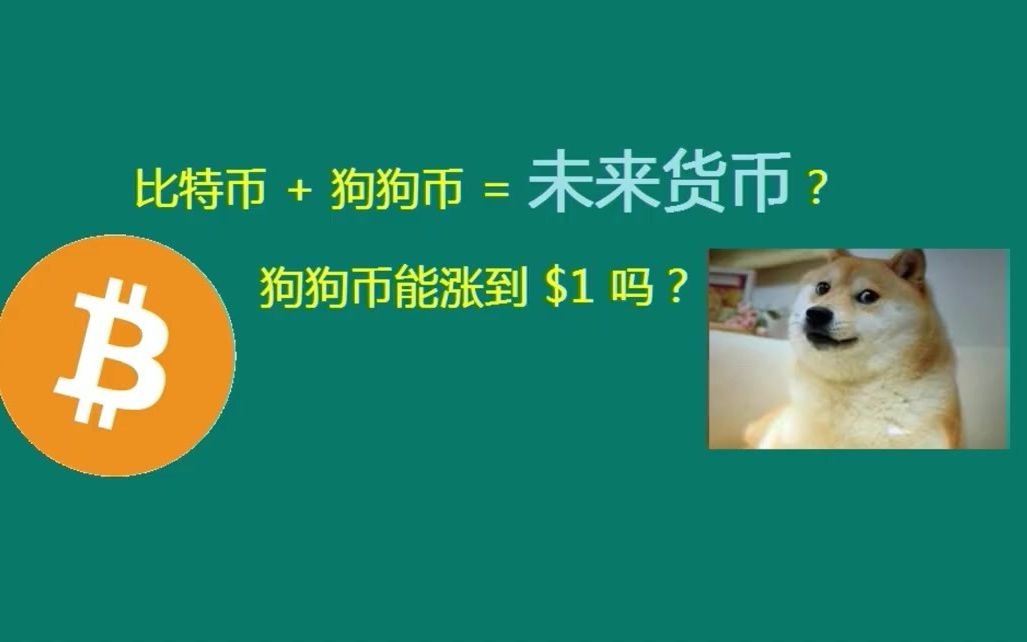 doge_tp钱包 doge_钱包怎么折