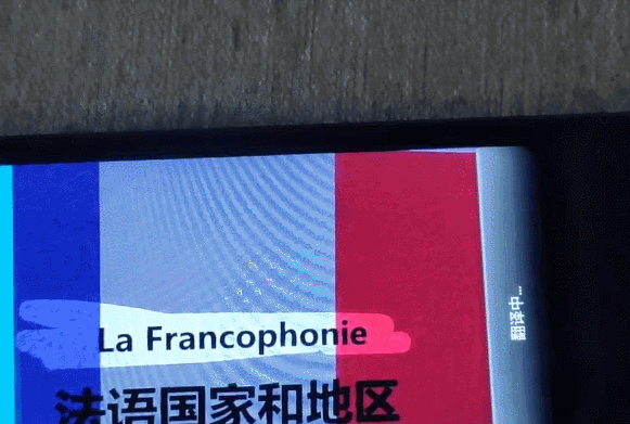 telegram即时翻译_翻译telegram对话_翻译television