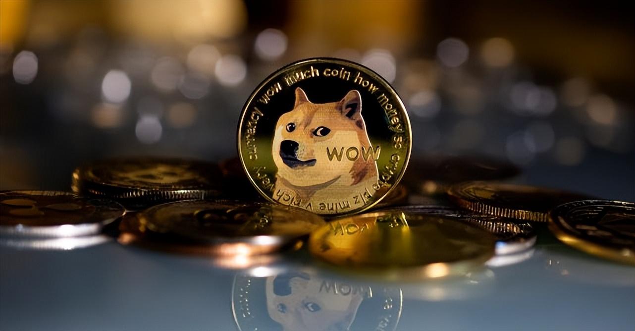 doge怎么提到tp钱包_钱包提到交易所手续费_钱包提到交易所怎么提
