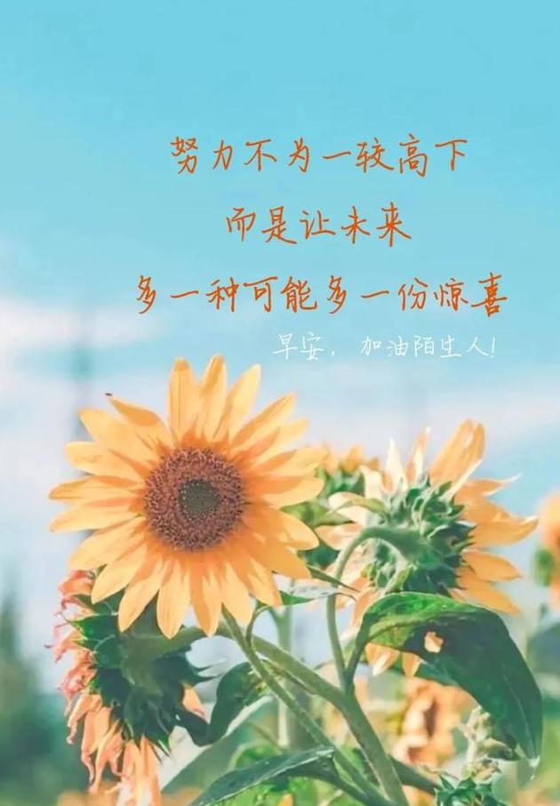 虎牙主播收入_主播收入虎牙多少钱_虎牙主播收入