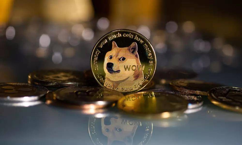 tp钱包doge_钱包怎么折_钱包app门禁卡