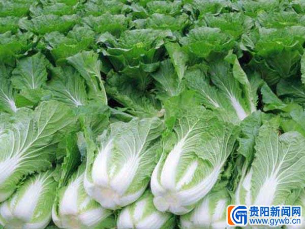 钱包怎么看k线_看一下钱包_tp钱包看行情