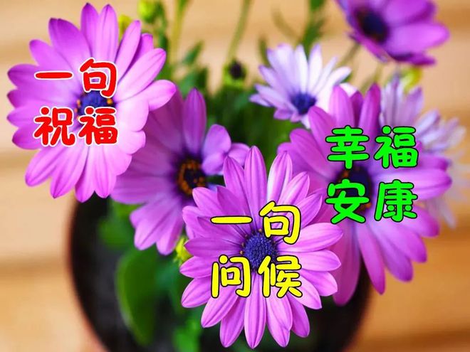 纹被泳烦_纹被泳烦_纹被泳烦