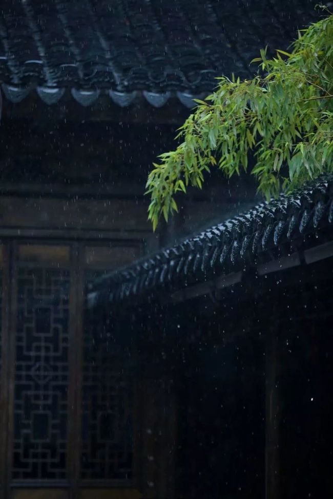 巢谷传巢谷的志_剿巢远都脑_脑巢什么意思