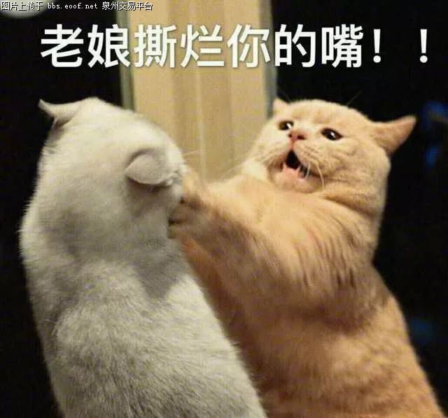 微信提现到银行卡怎么免手续费_imtoken怎么提现到微信_微信提现到银行卡