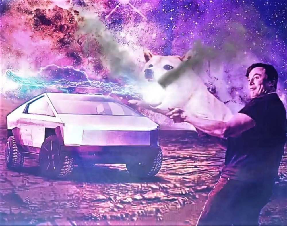狗币tp钱包_tp钱包 狗狗币网络_dogecoin狗狗币钱包