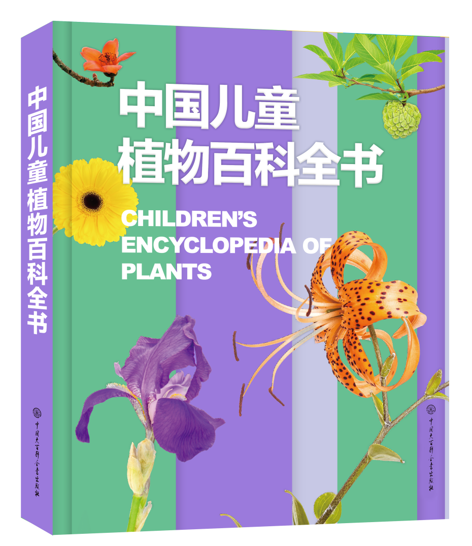 象征性游戏_象征性游戏是什么意思_象征性游戏有哪些