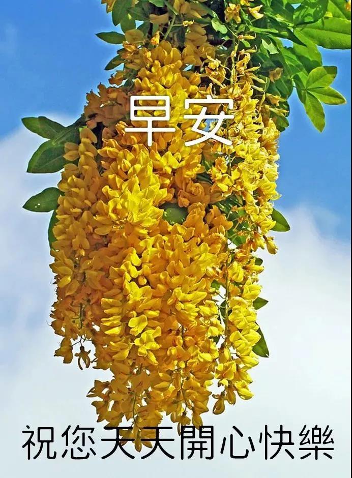 语言设置如何恢复为中文_语言设置在哪_telegram设置语言