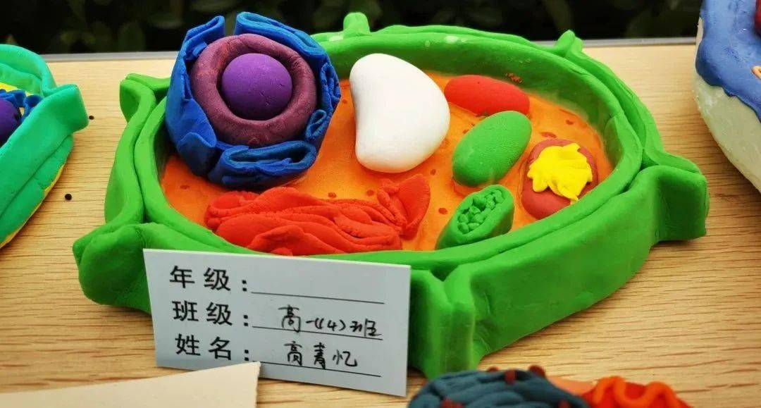 什么是k点?_什么是k点?_什么是k点?