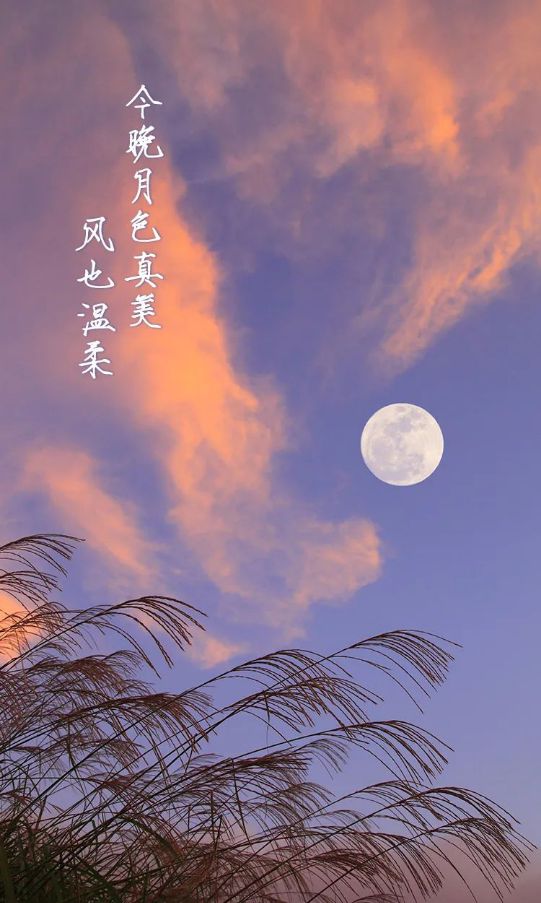 聊天软件有哪些_聊天软件Telegram_telegraph聊天软件