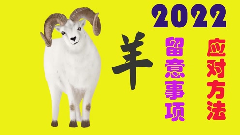 逻辑延时过长会影响哪些指标_游戏逻辑延迟高是什么意思?_延迟游戏