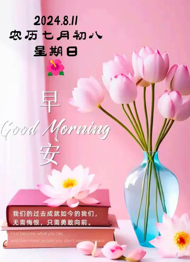 队伍分析研判报告_队伍分析报告_分的队伍