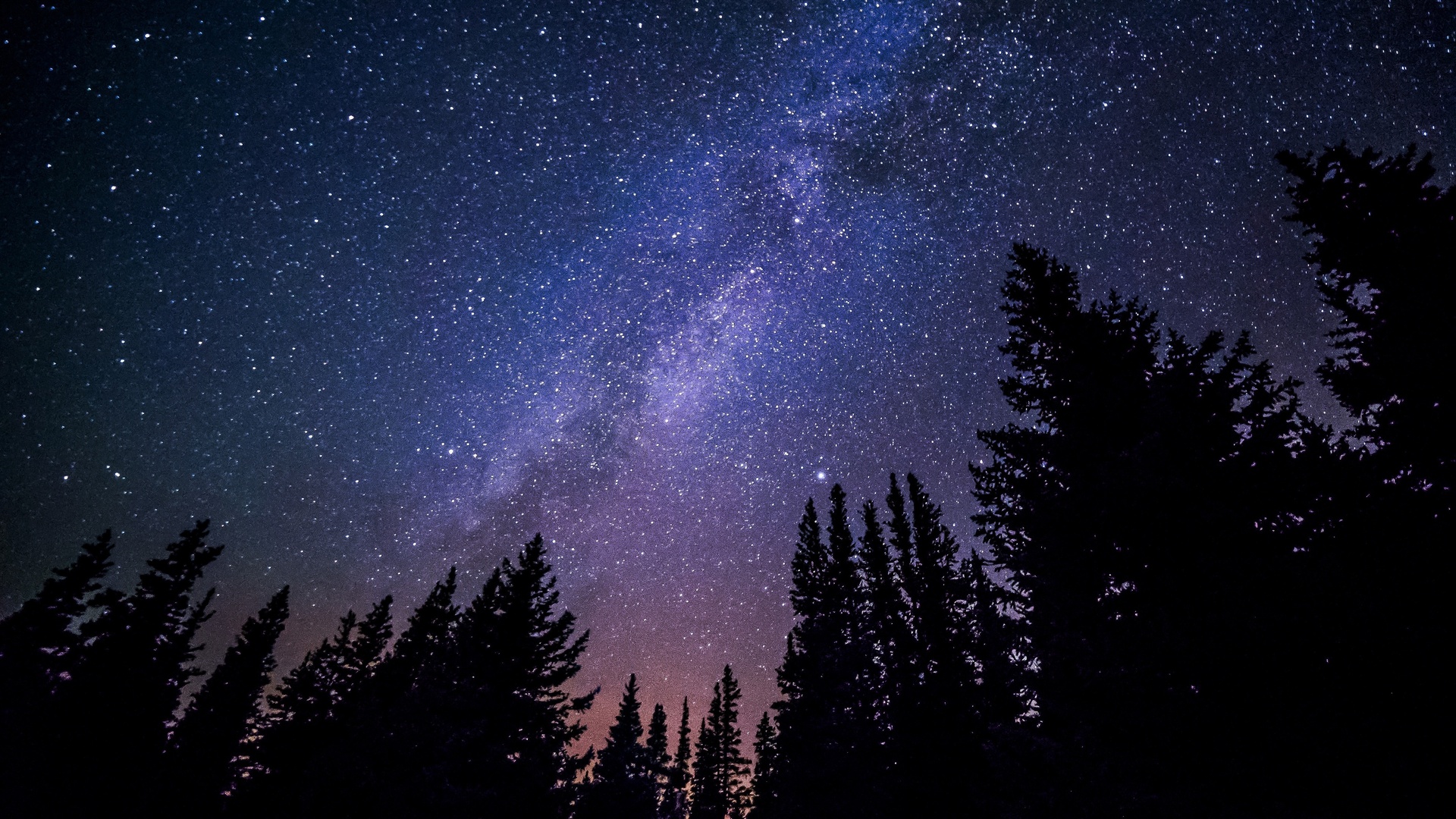 星星游戏迷roblox_星星游戏迷病娇模拟器_星星之多少游戏