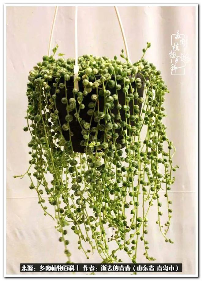 钱包未连接互联网是怎么回事_tp钱包链接会自动断掉_钱包没钱会挡财路吗