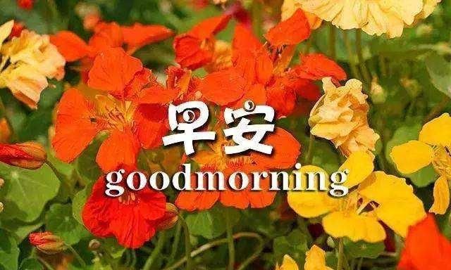 盲人导航趣味游戏_趣味导航盲人游戏视频_盲人导航器