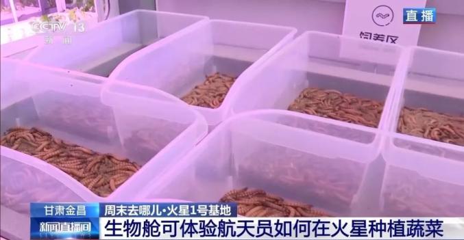 购买游戏是什么意思_购买游戏在哪里买_购买游戏的软件叫什么