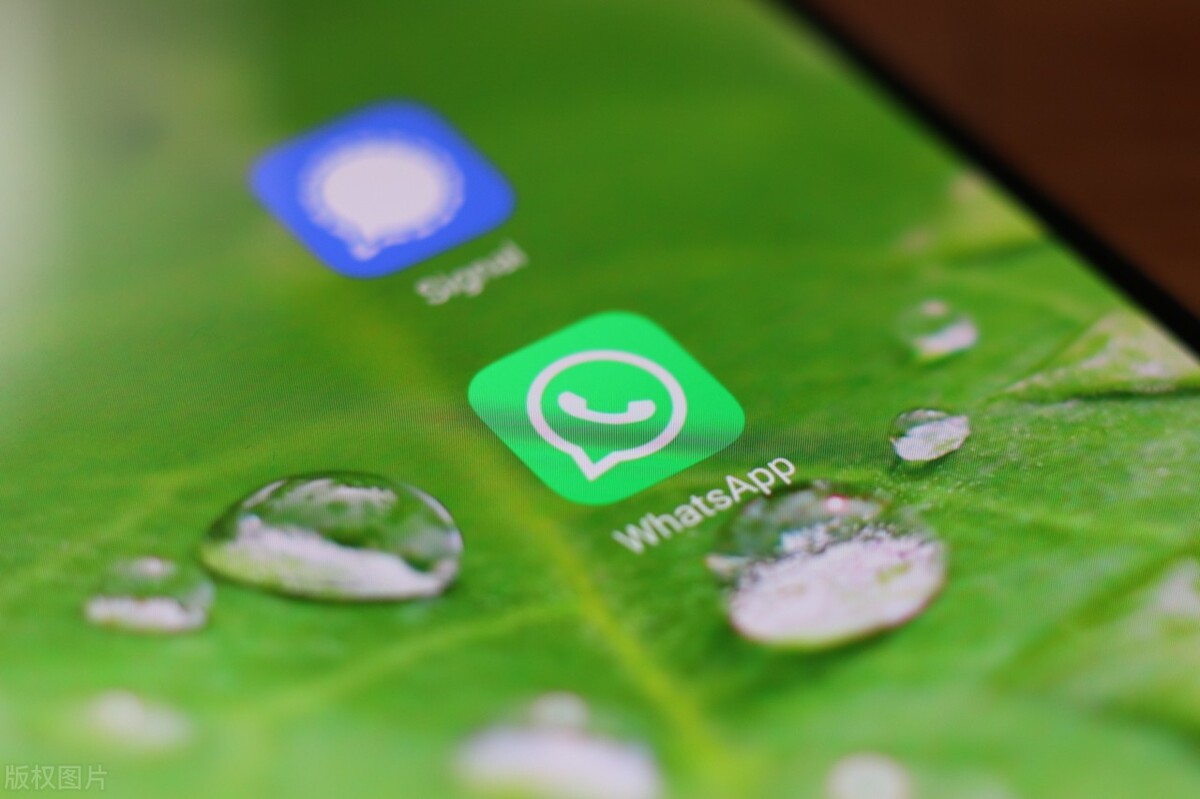 telegram 直播_直播软件_直播8