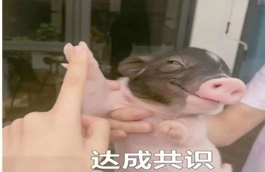 epic 多久可以退_退可以组什么词_退可以怎么组词