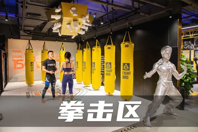 任天堂健身房游戏_任天堂吾家健身趣和一起健身吧两款游戏的区别_可以健身的任天堂体感游戏