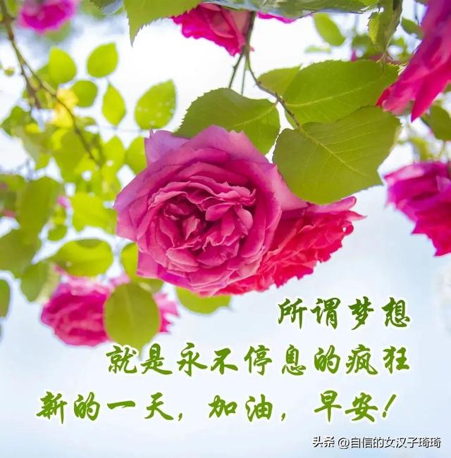 无法打开游戏进程_打开完全无法游戏怎么回事_完全无法打开游戏