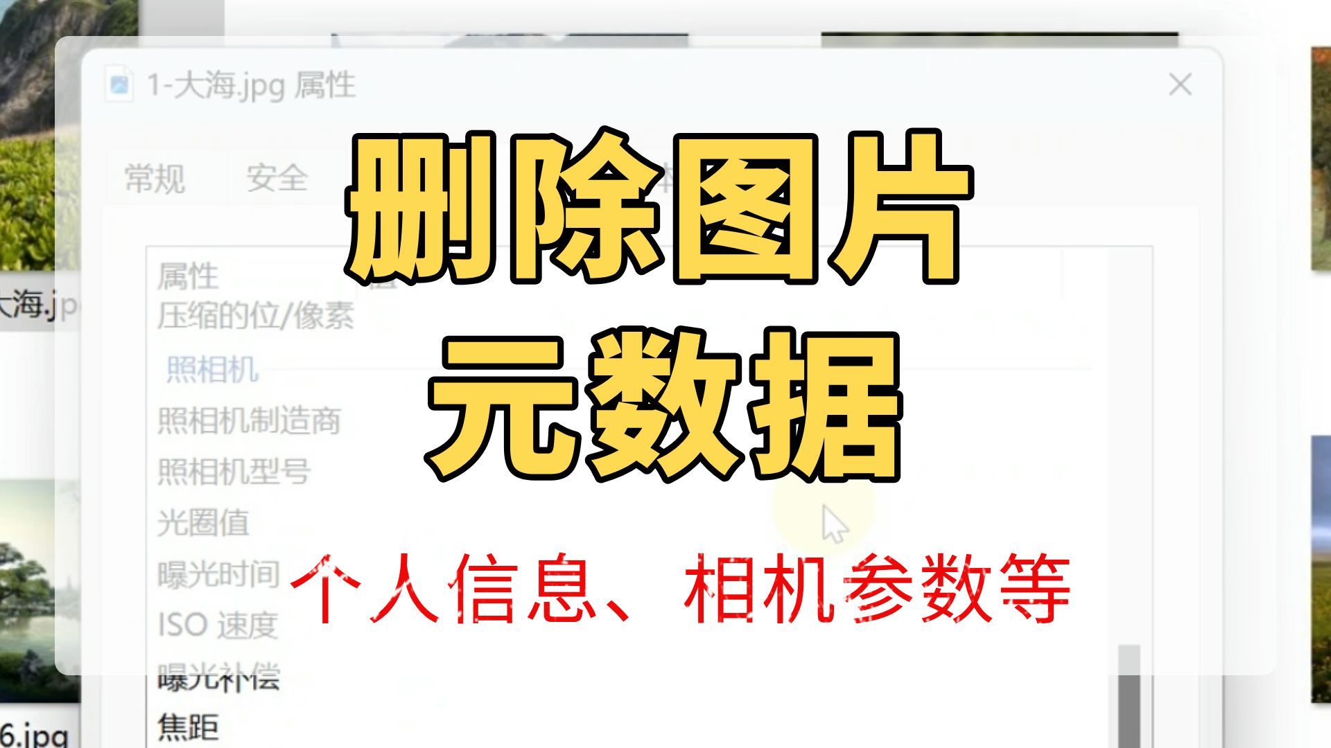 钱包查看权限的工具是啥_tp钱包如何查看别人钱包_钱包查看银行卡余额