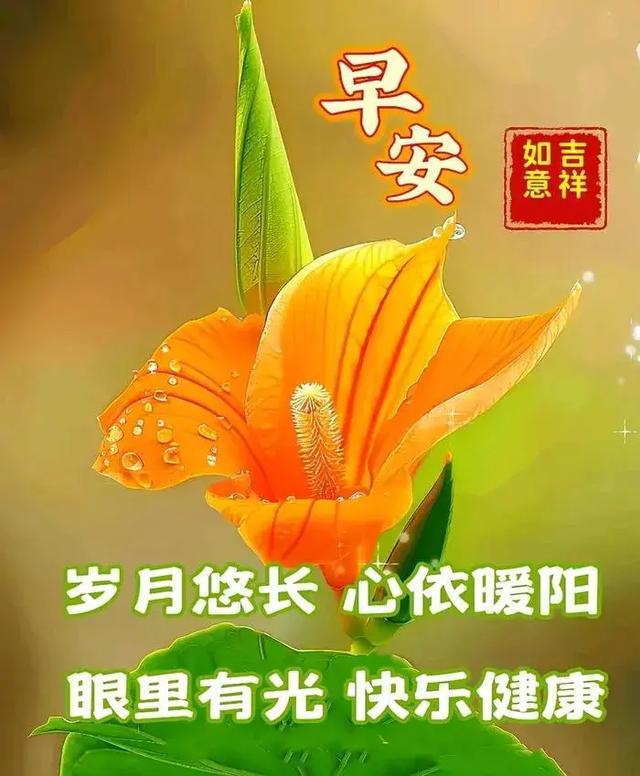 imtoken钱包转账能退回吗_钱包退还什么时候到账_钱包退回怎么退