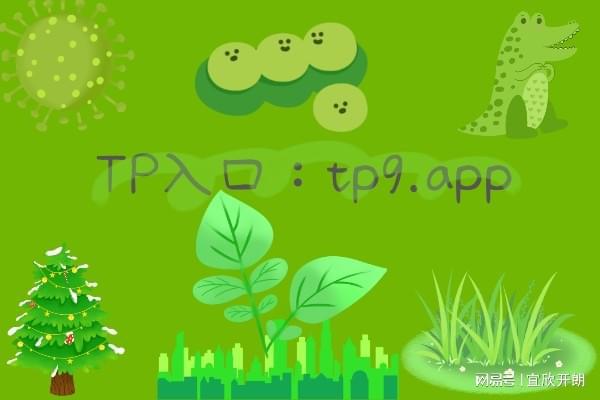 tp钱包有电脑版吗_tp钱包桌面版_tp钱包电脑端
