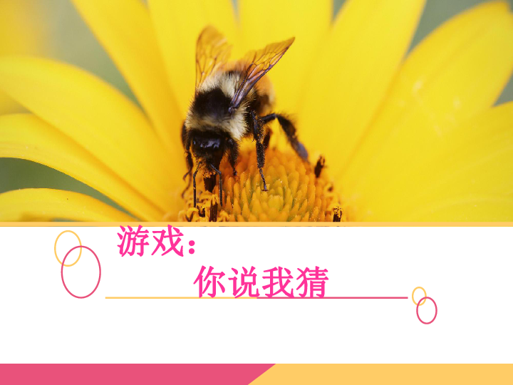 汉字游戏的规则_汉字规则游戏大全_趣味汉字游戏规则