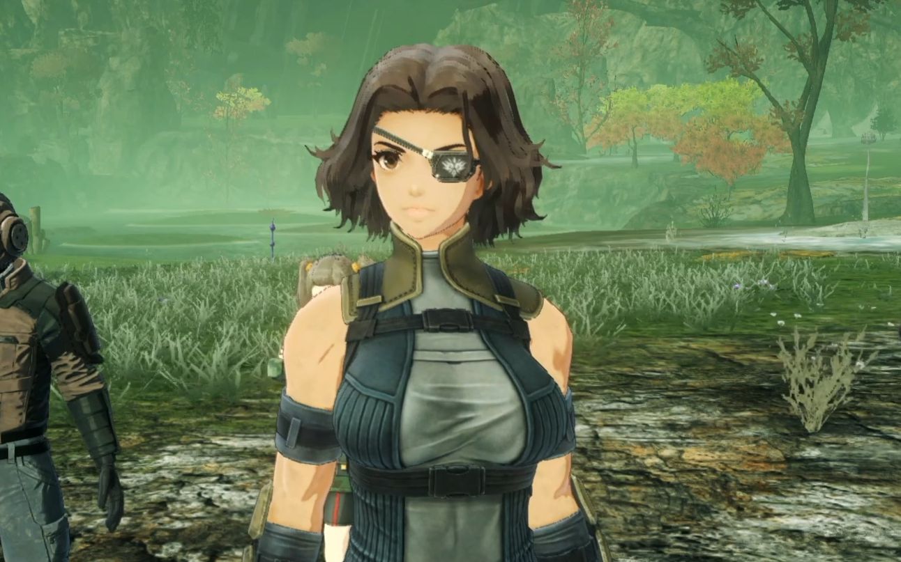 3ds的异度之刃_new3ds异度之刃_异度之刃3dlc具体有什么