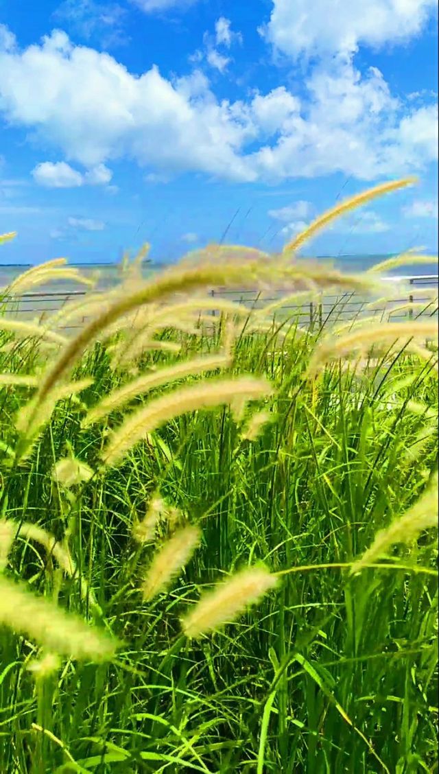 驯空_驯空_驯空