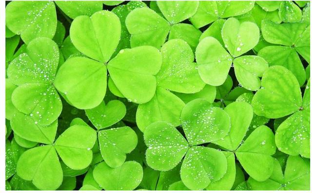 以太坊钱包转币时间多久_以太坊多链钱包_tp钱包买币安链转以太坊链