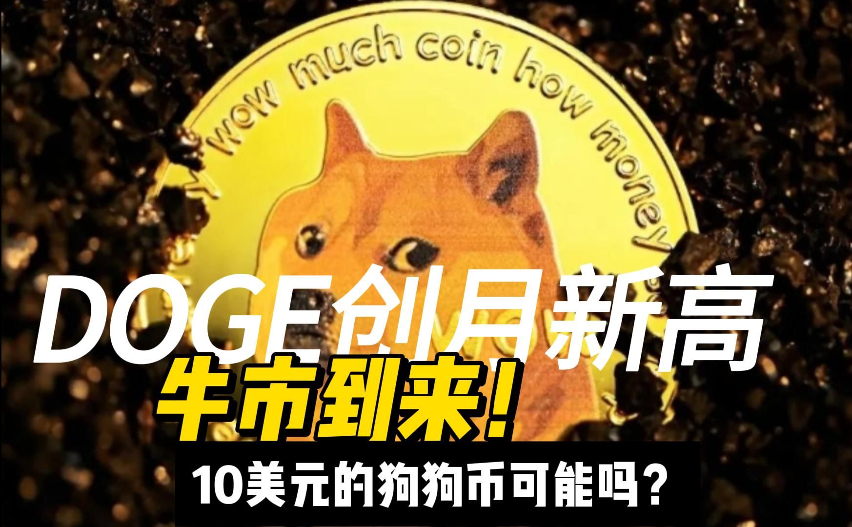 狗狗币钱包dogecoin_狗币钱包app_tp钱包 狗狗币