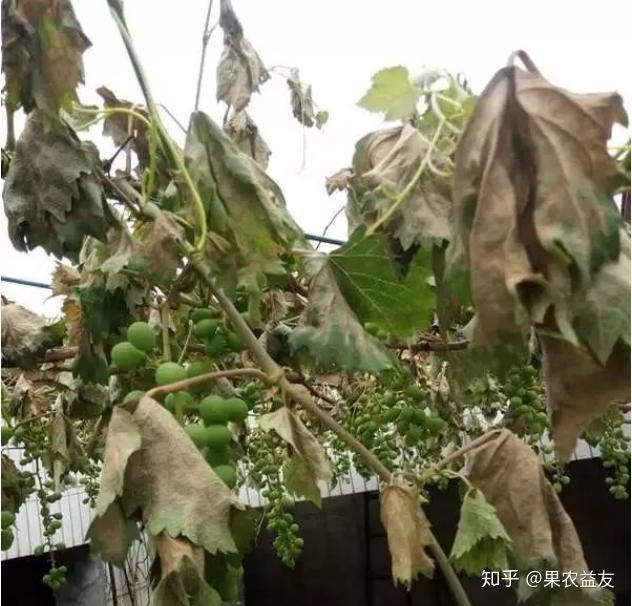 钱包跑路一般都是几个月的时间_钱包跑路怎么找回币_tp钱包跑路怎么办