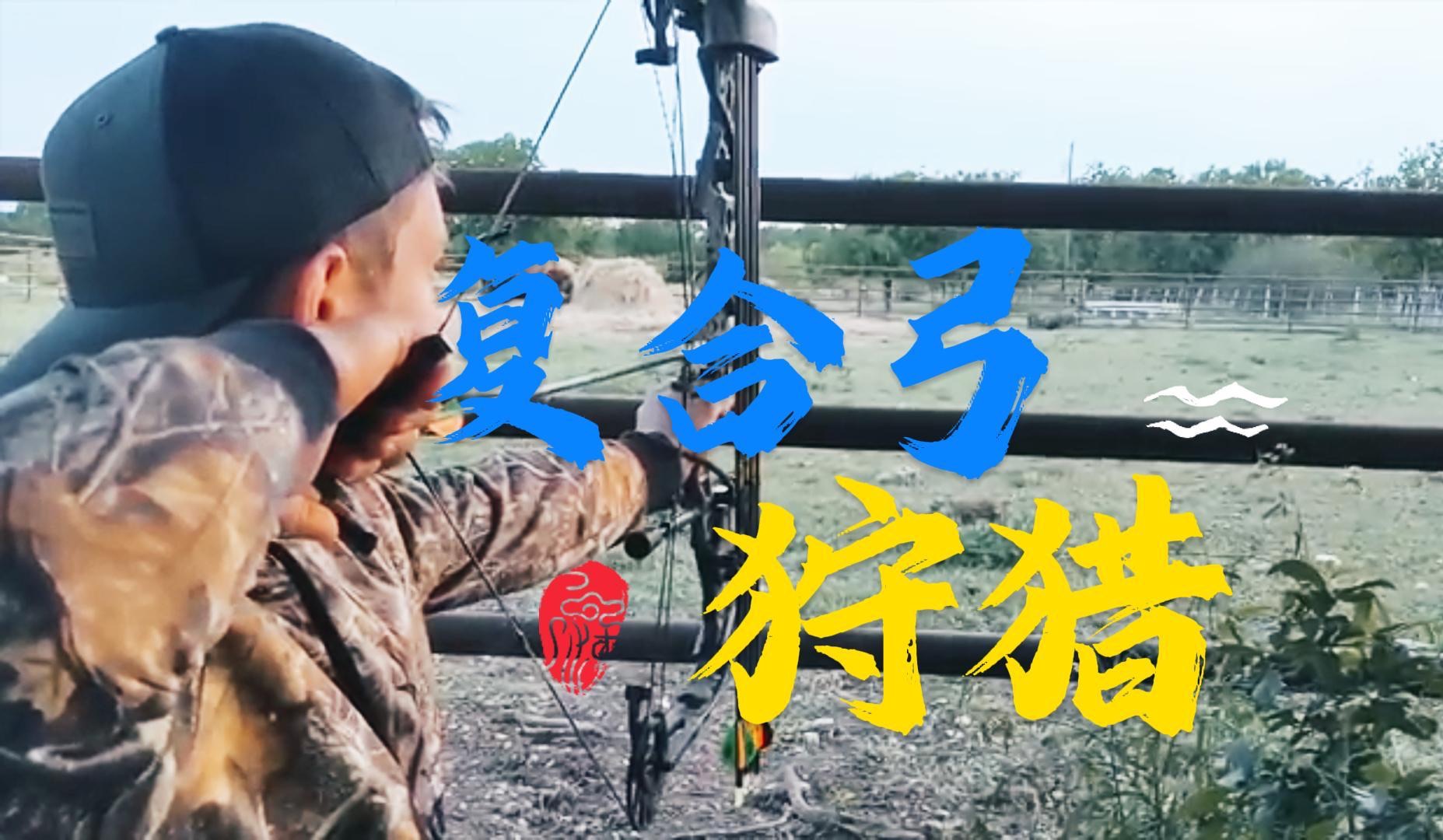 forest复合弓_森林复合弓怎么用_steam森林复合弓