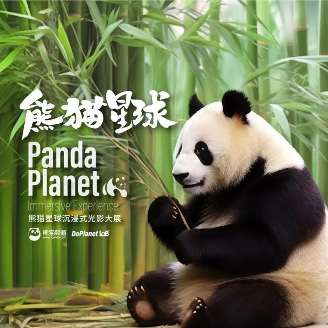 熊猫主题元素_推出了一系列以大熊猫为主角的活动及全新游戏元素,借此倡导大家共同关注大自然和_大熊猫元素设计图片