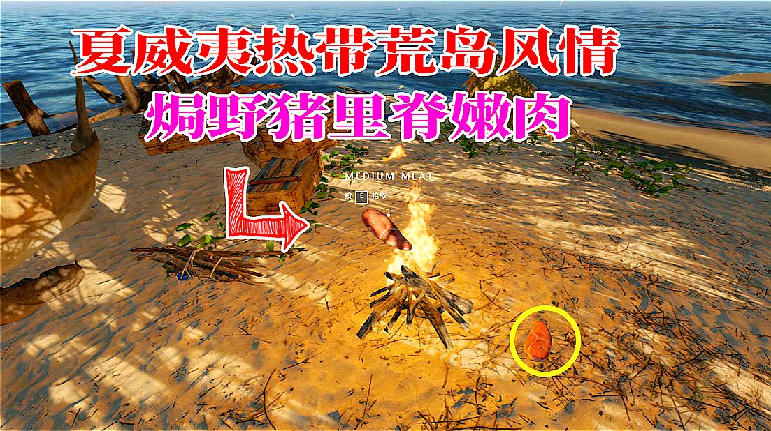 鲨鱼规律_鲨鱼 游戏规则_鲨鱼游戏是怎么玩